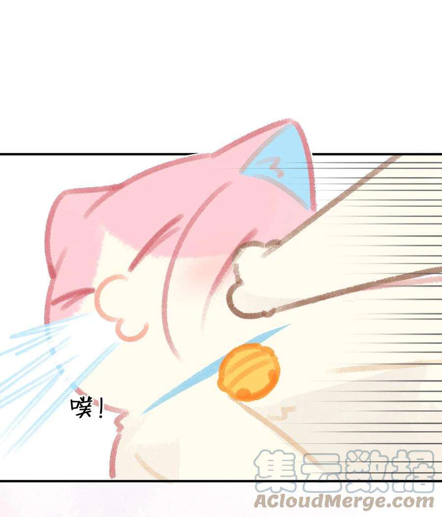 喵铃铛24 新员工在橘总头上拉屎？！