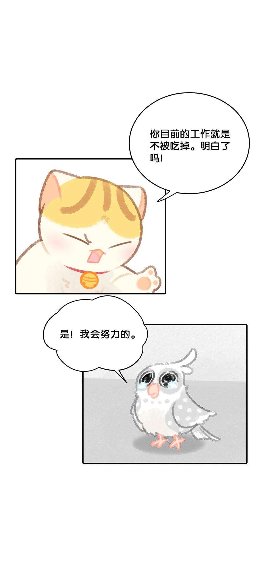 喵铃铛24 新员工在橘总头上拉屎？！