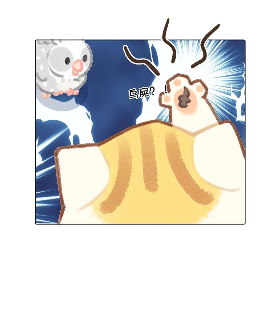 喵铃铛24 新员工在橘总头上拉屎？！