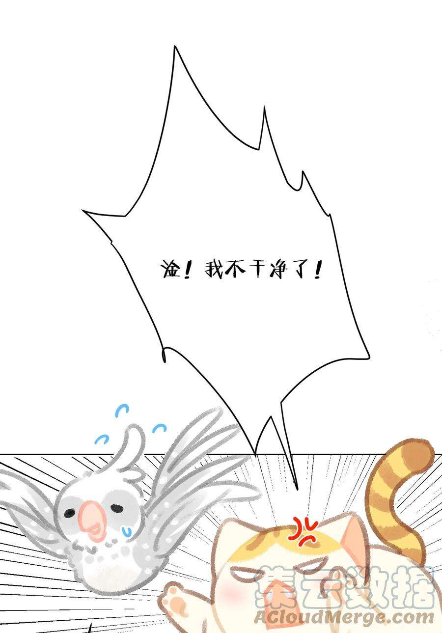 喵铃铛24 新员工在橘总头上拉屎？！