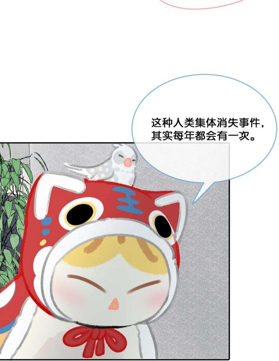 喵铃铛25 脱贫脱单不脱发！