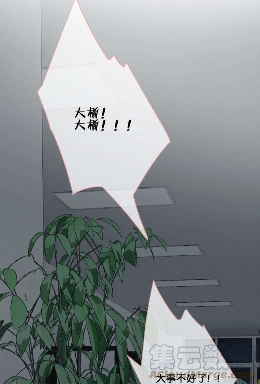 喵铃铛25 脱贫脱单不脱发！