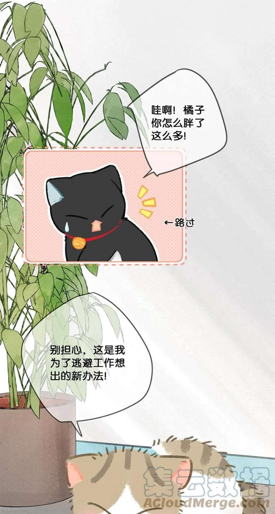 喵铃铛27 十万伏特喵！