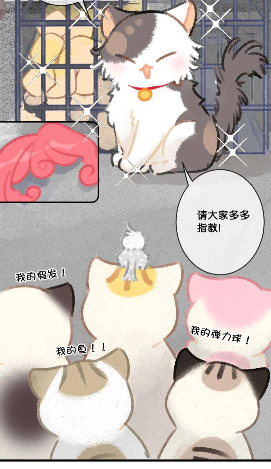 喵铃铛28 职场导师锅包又带出来的职场新猫！