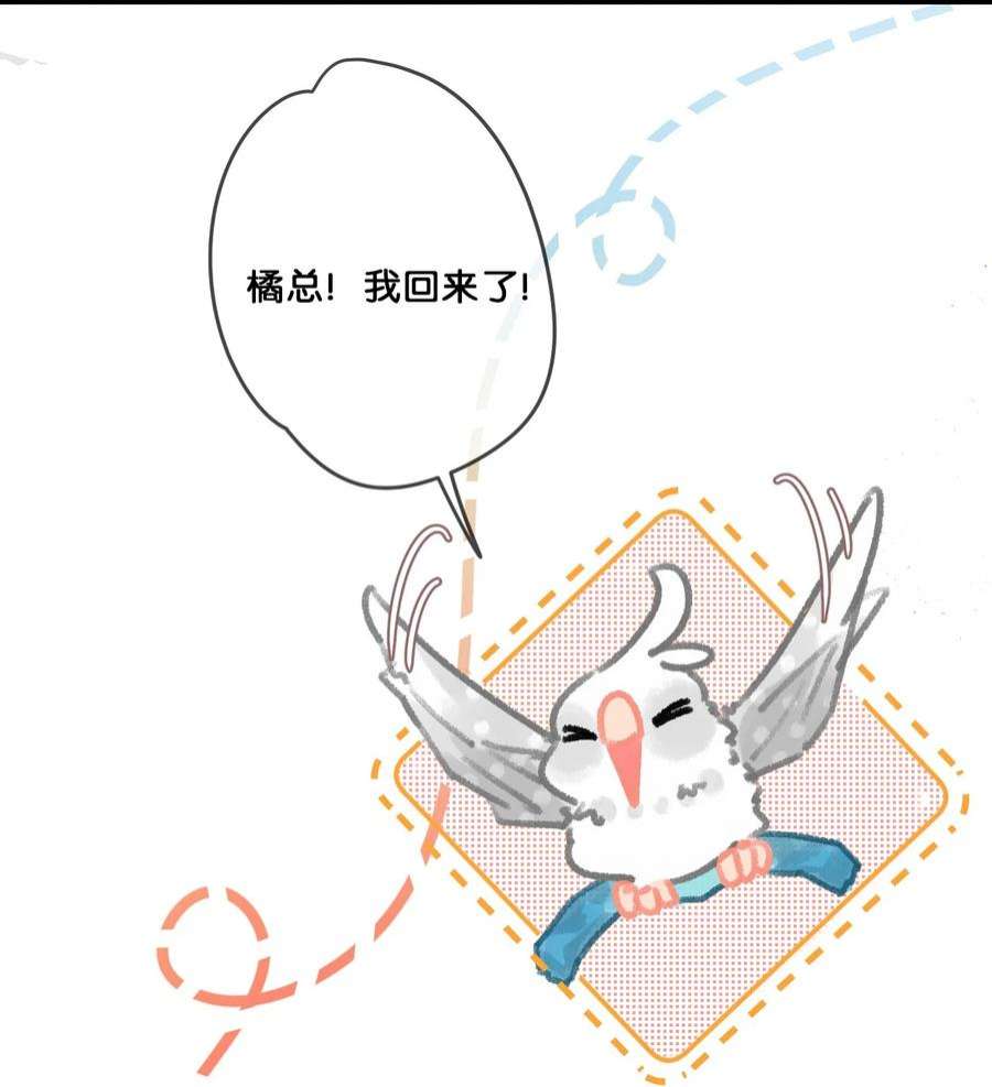 喵铃铛28 职场导师锅包又带出来的职场新猫！