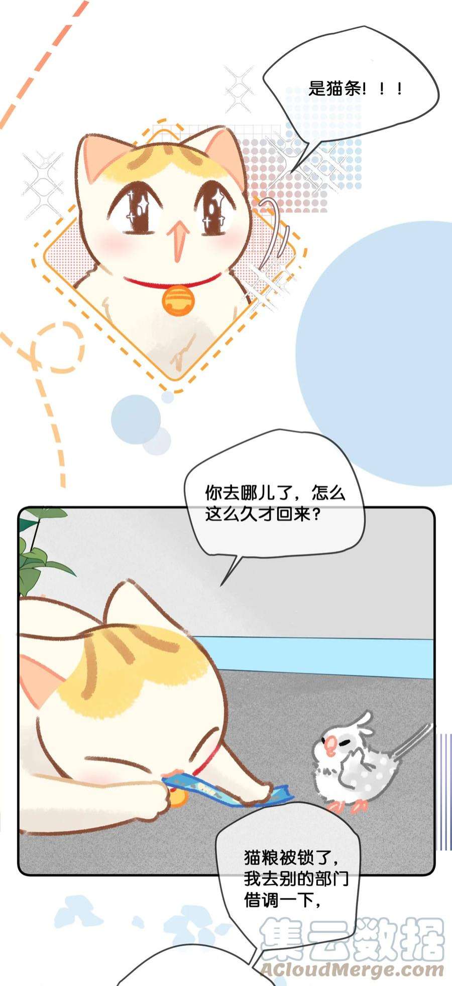 喵铃铛28 职场导师锅包又带出来的职场新猫！