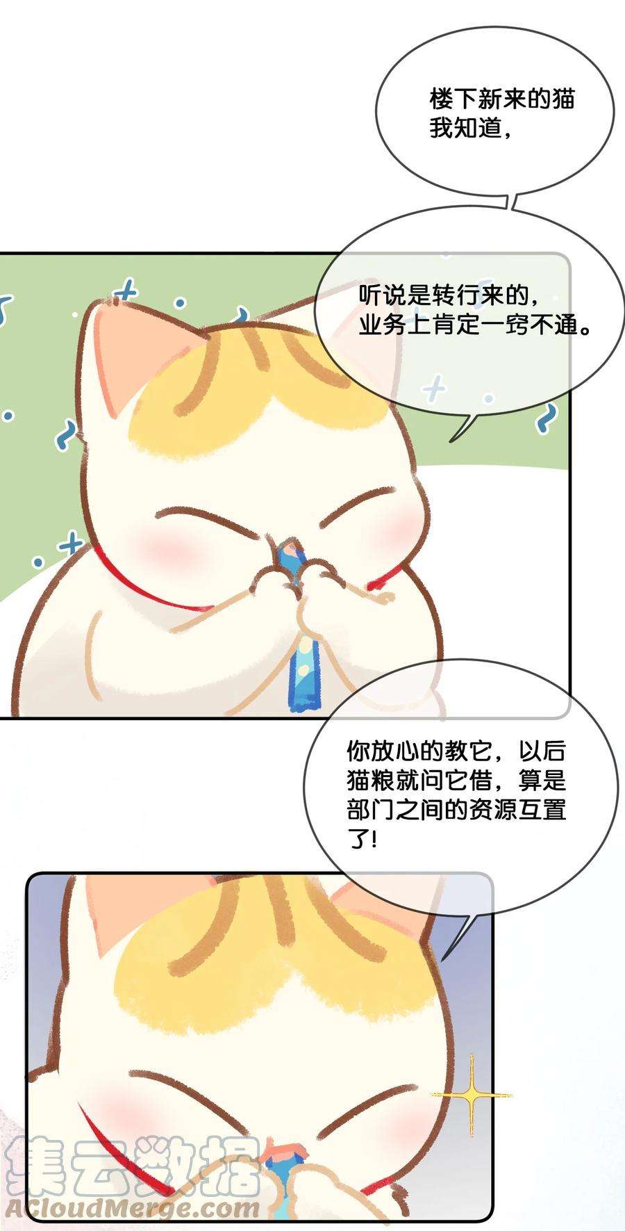 喵铃铛28 职场导师锅包又带出来的职场新猫！