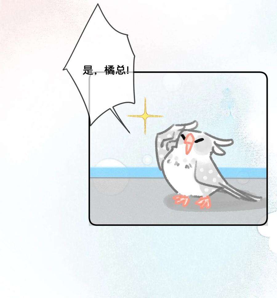 喵铃铛28 职场导师锅包又带出来的职场新猫！