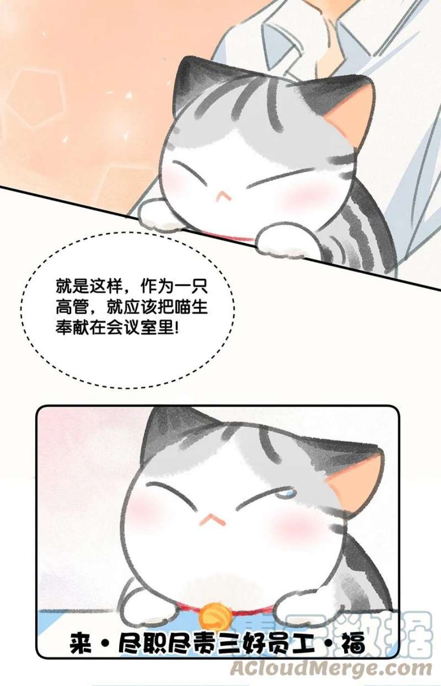 喵铃铛29 内卷之王王中王