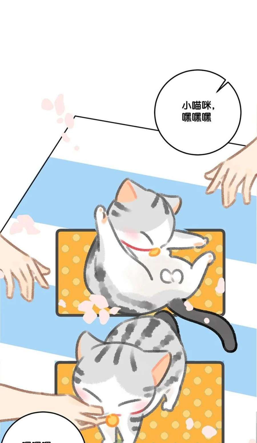 喵铃铛29 内卷之王王中王