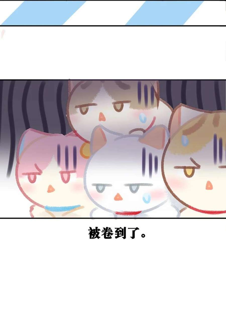 喵铃铛29 内卷之王王中王