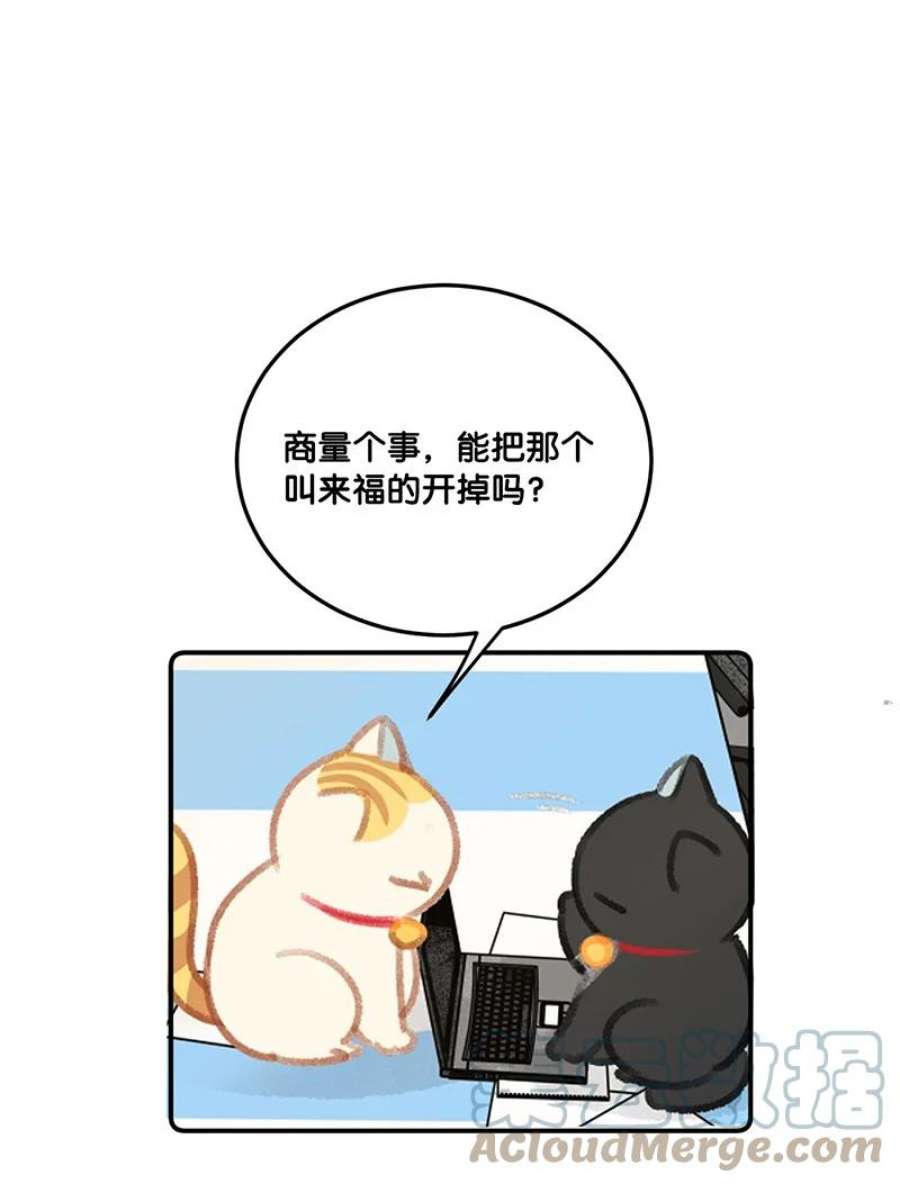 喵铃铛29 内卷之王王中王