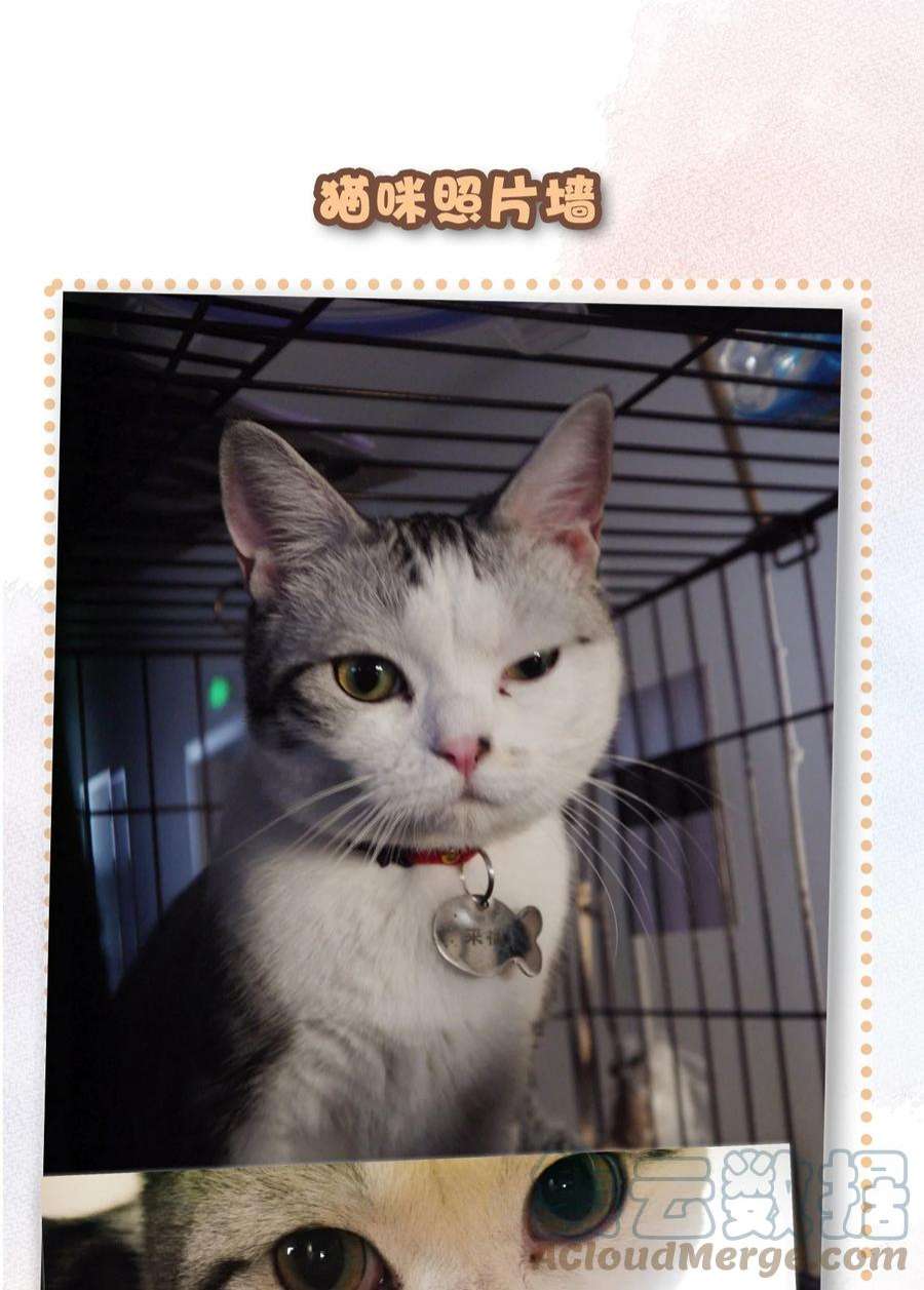 喵铃铛29 内卷之王王中王