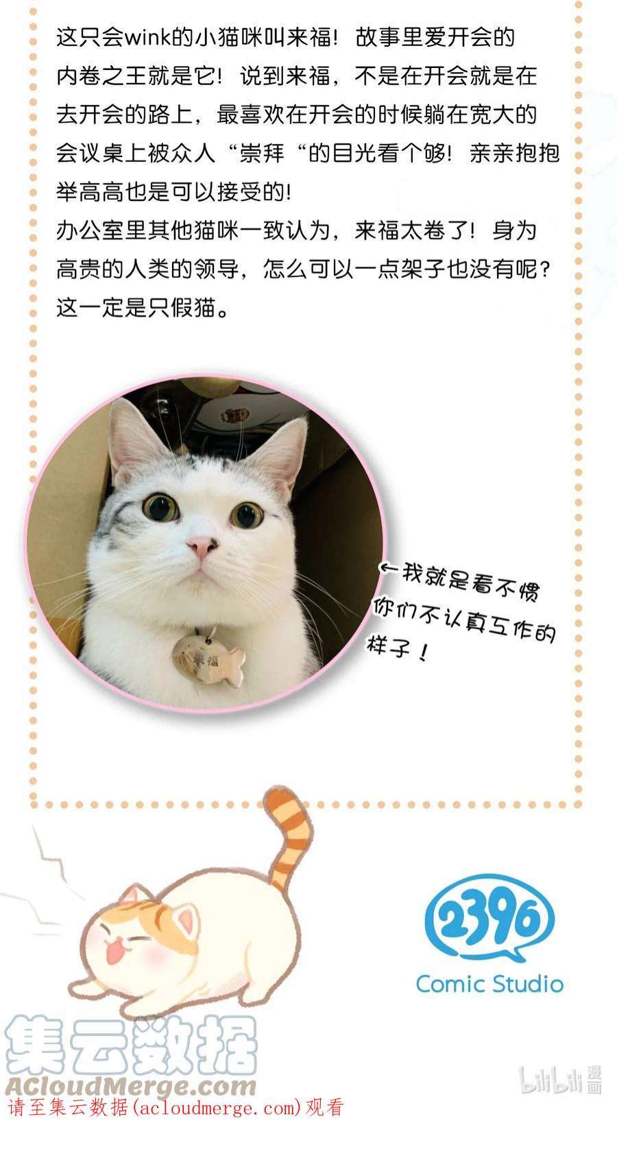 喵铃铛29 内卷之王王中王