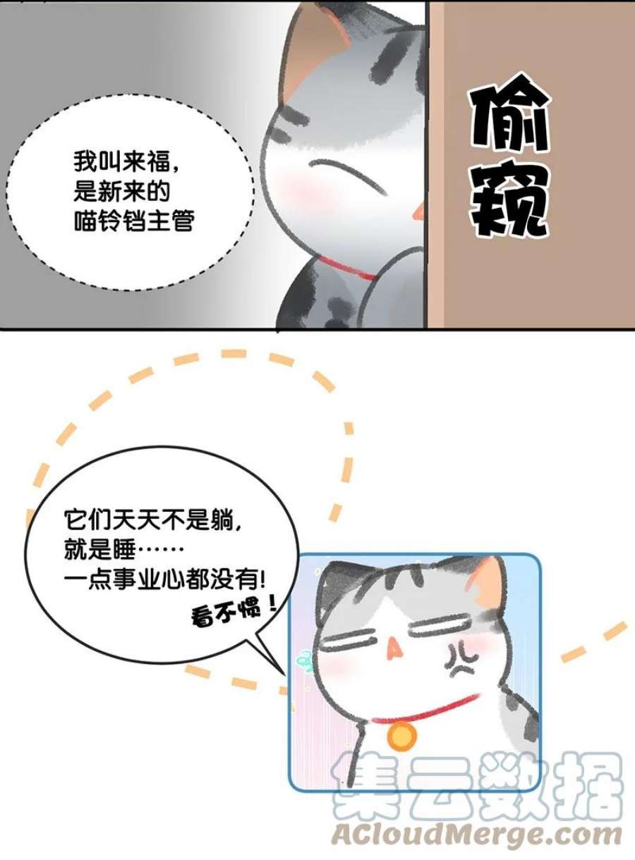 喵铃铛29 内卷之王王中王