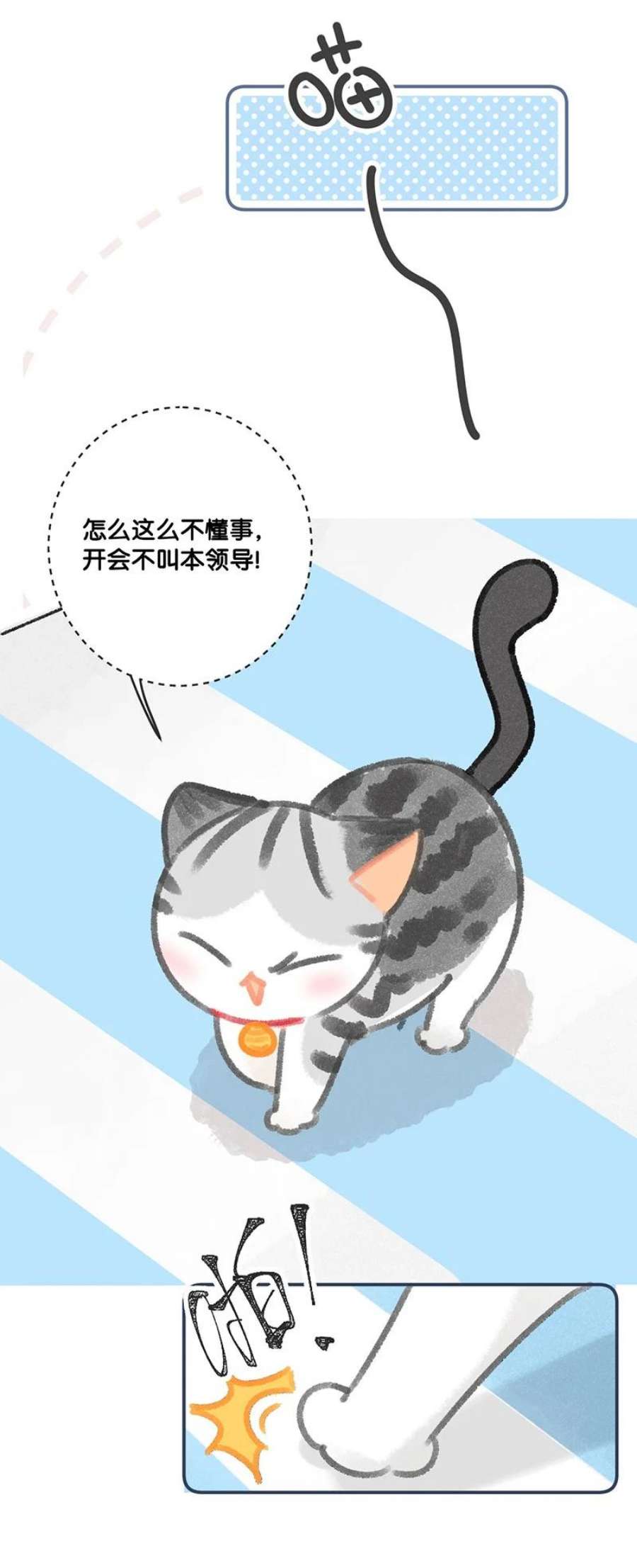 喵铃铛29 内卷之王王中王