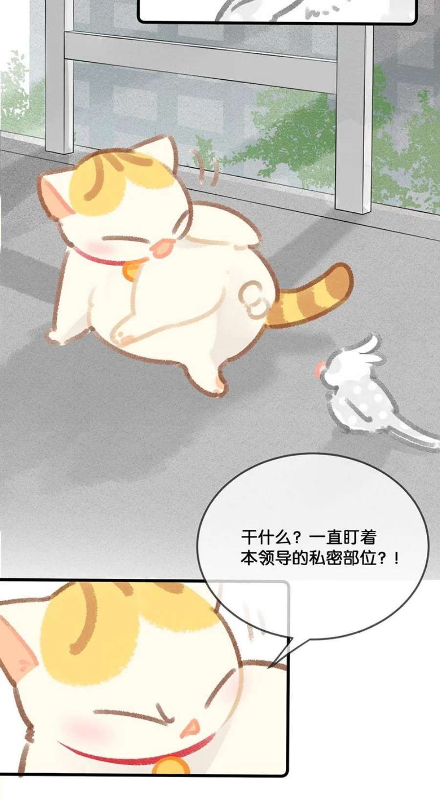 喵铃铛30 铃铛是高管的象征！