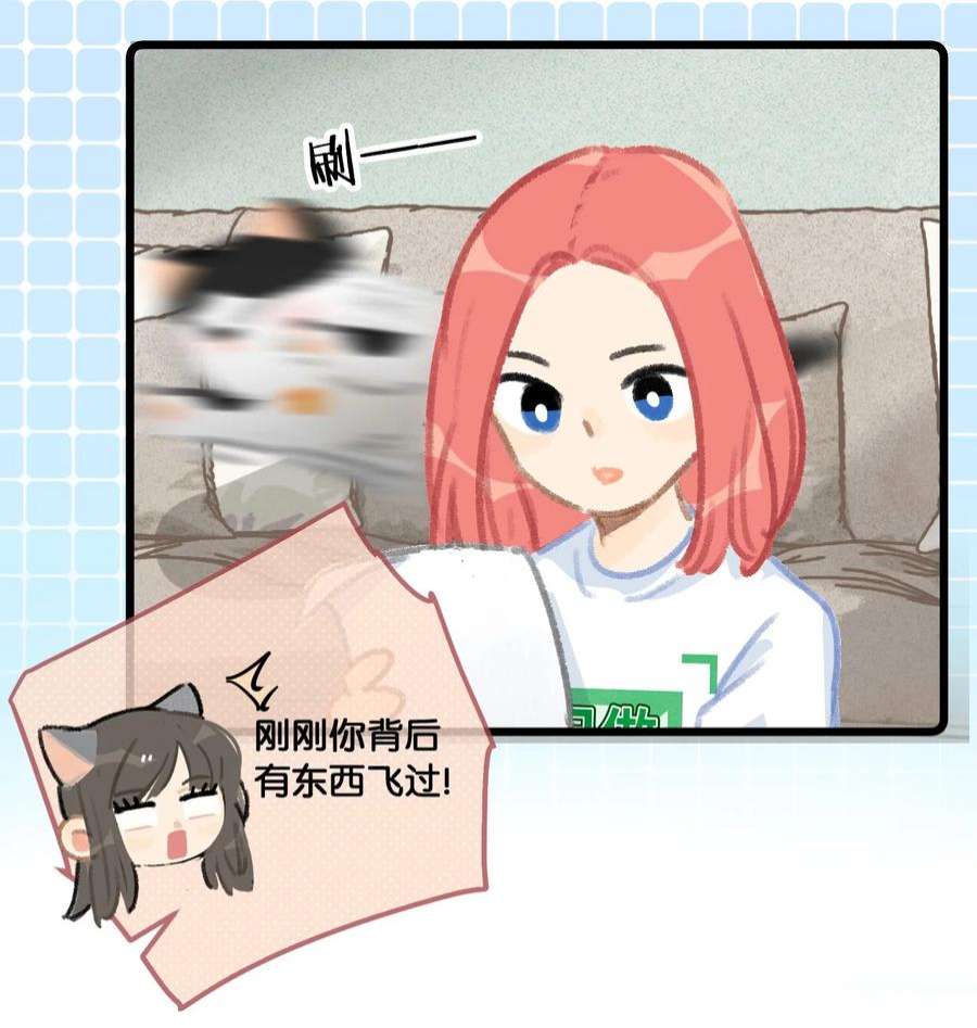 喵铃铛35 球球快点正常上班吧！