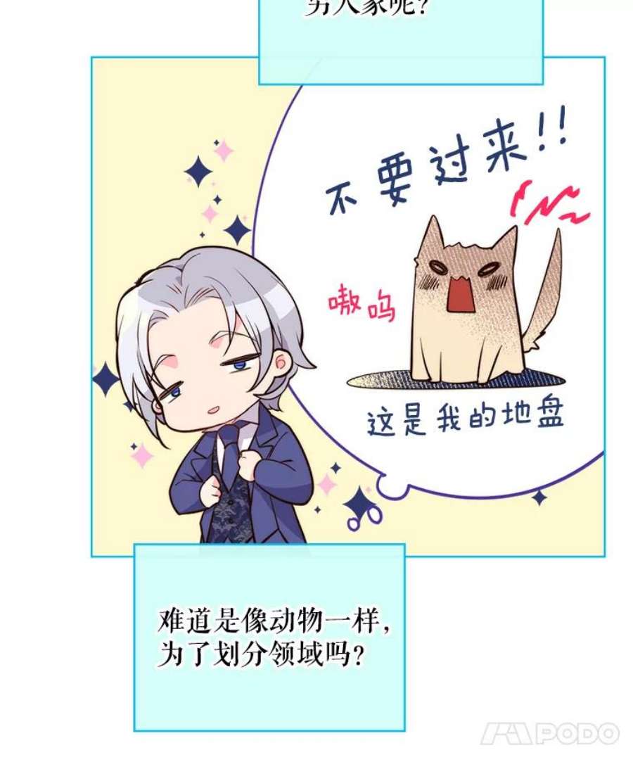 比阿特丽丝8.一见钟情