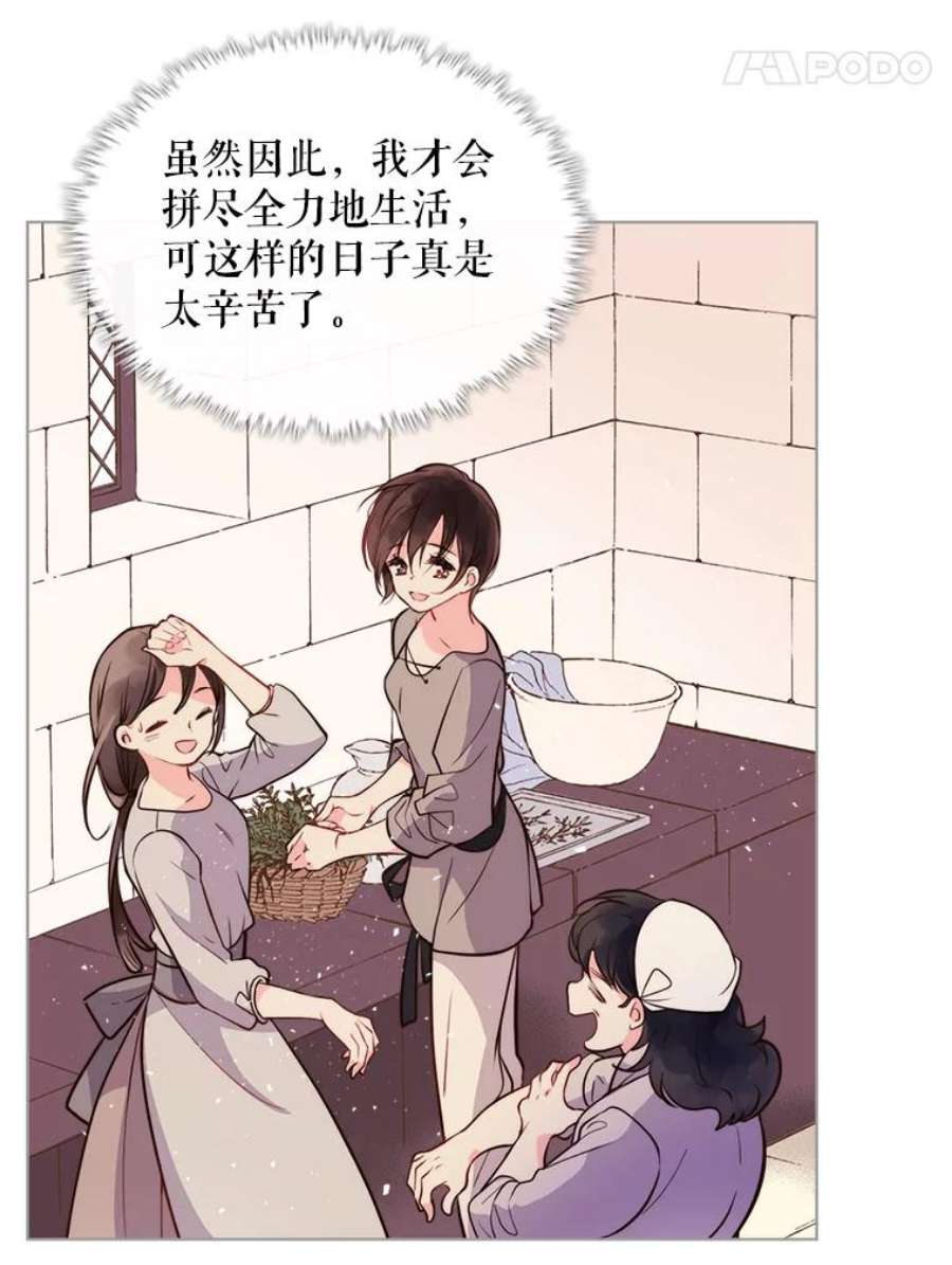 比阿特丽丝8.一见钟情