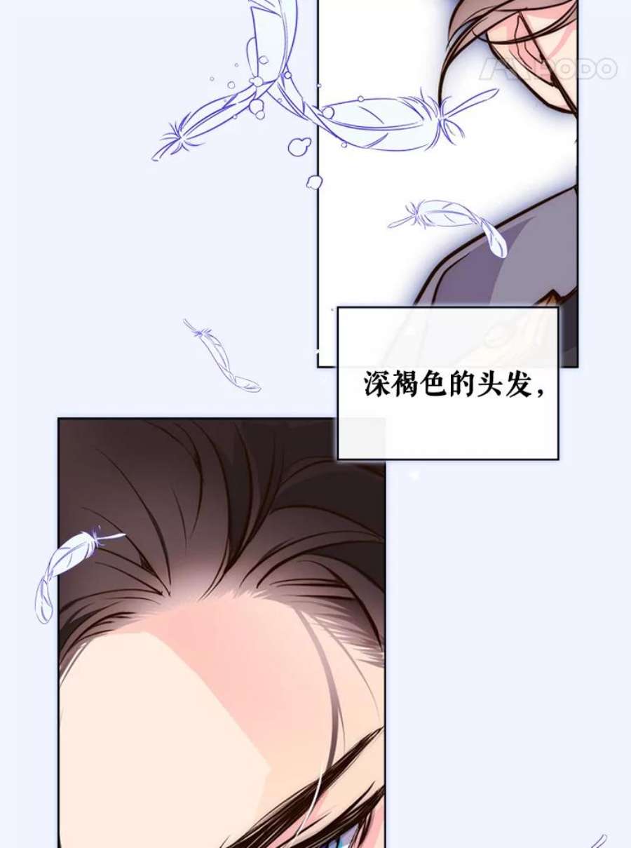 比阿特丽丝8.一见钟情