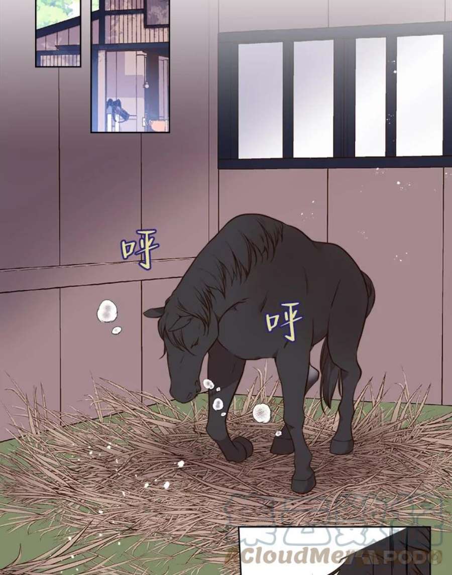 比阿特丽丝11.坠马事件