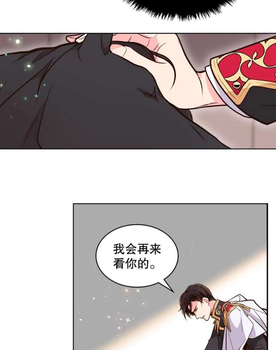 比阿特丽丝11.坠马事件