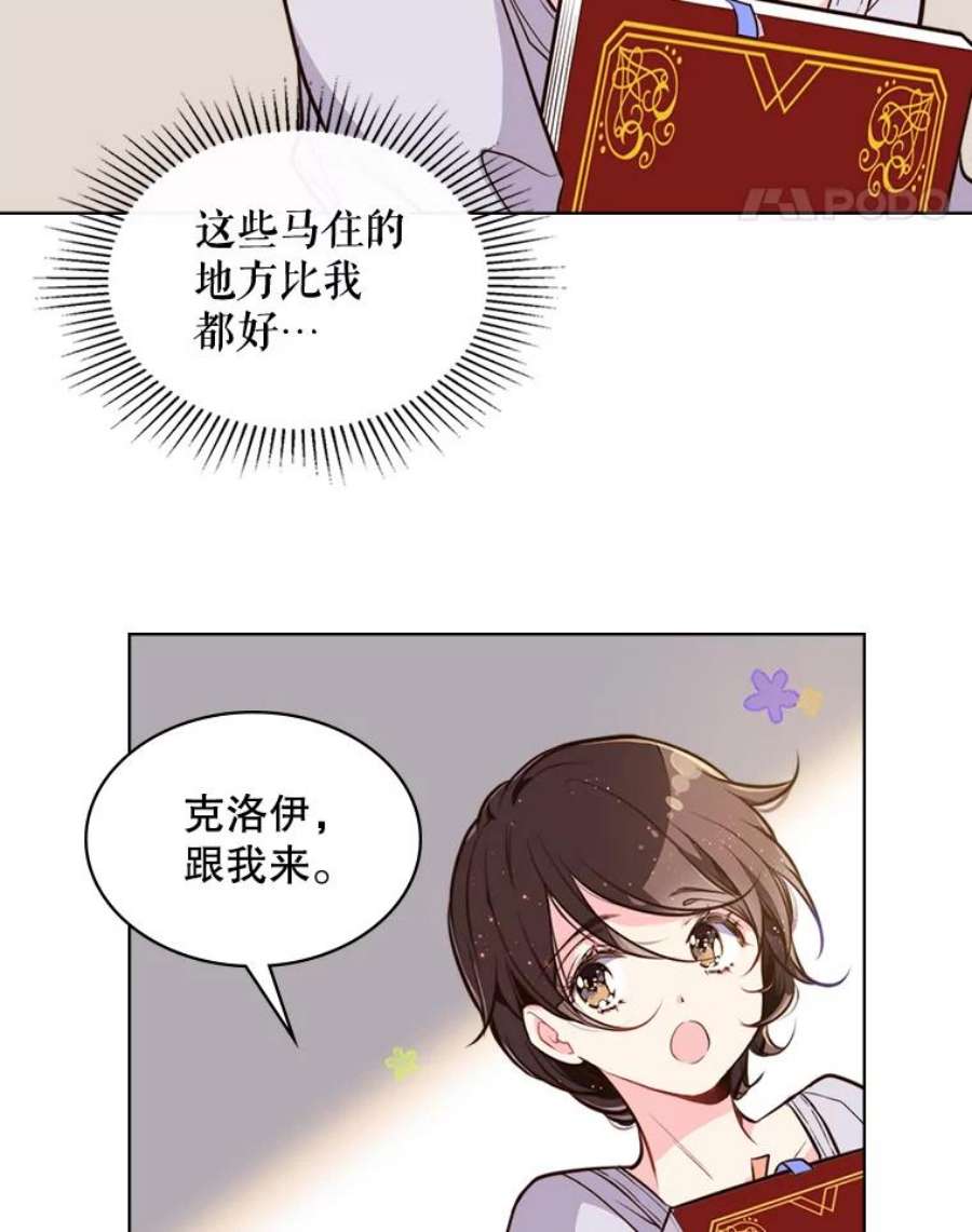 比阿特丽丝11.坠马事件