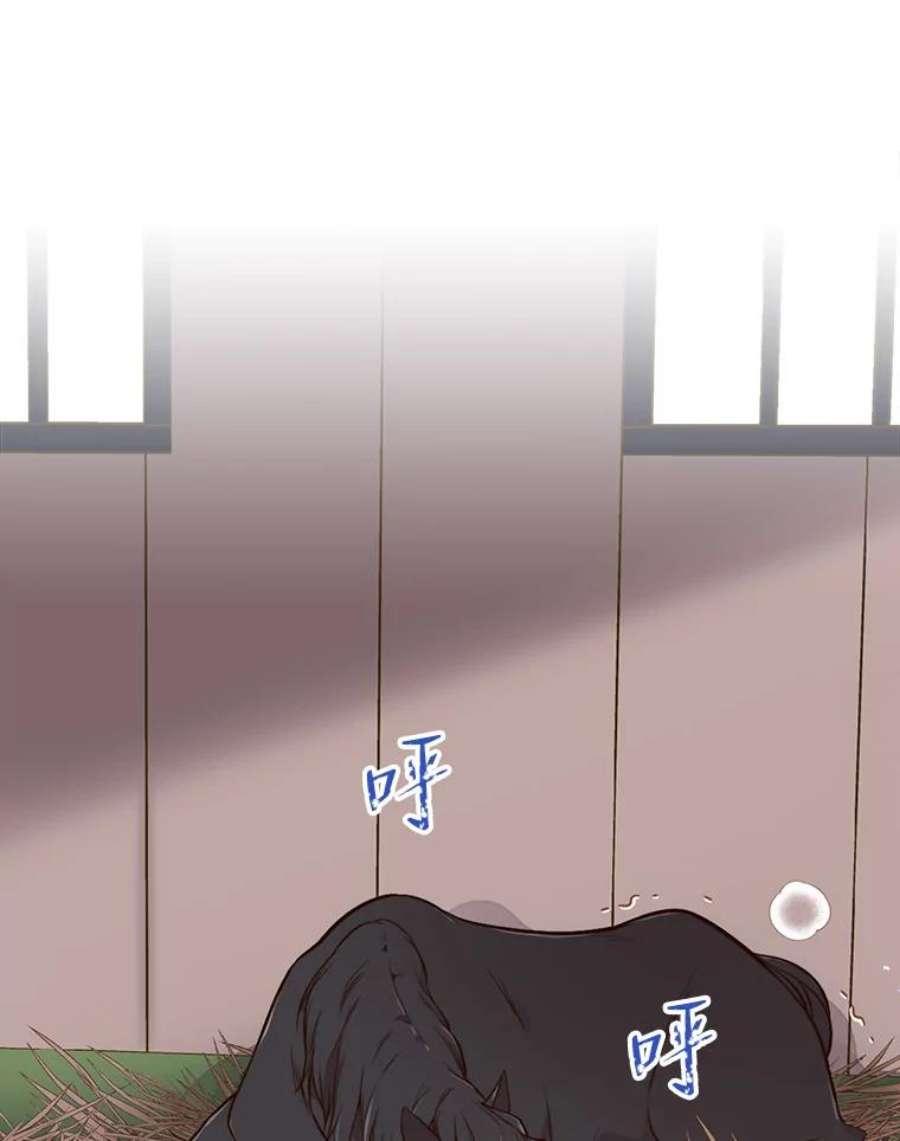比阿特丽丝11.坠马事件