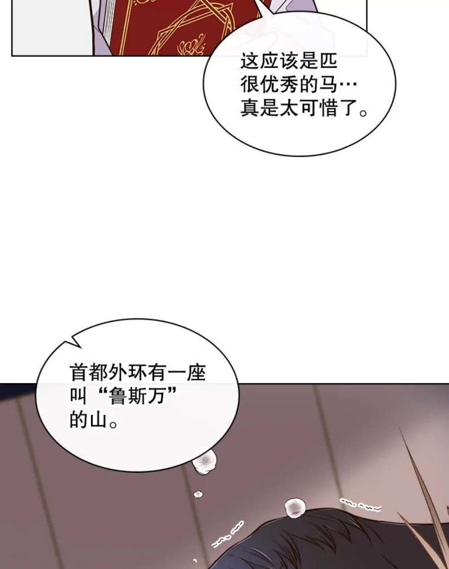 比阿特丽丝11.坠马事件