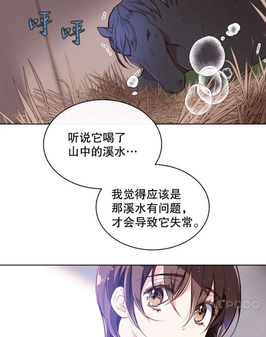 比阿特丽丝11.坠马事件