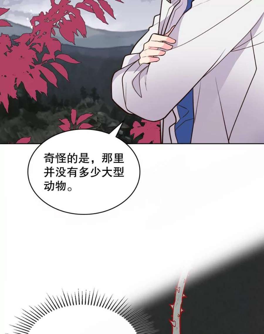 比阿特丽丝11.坠马事件