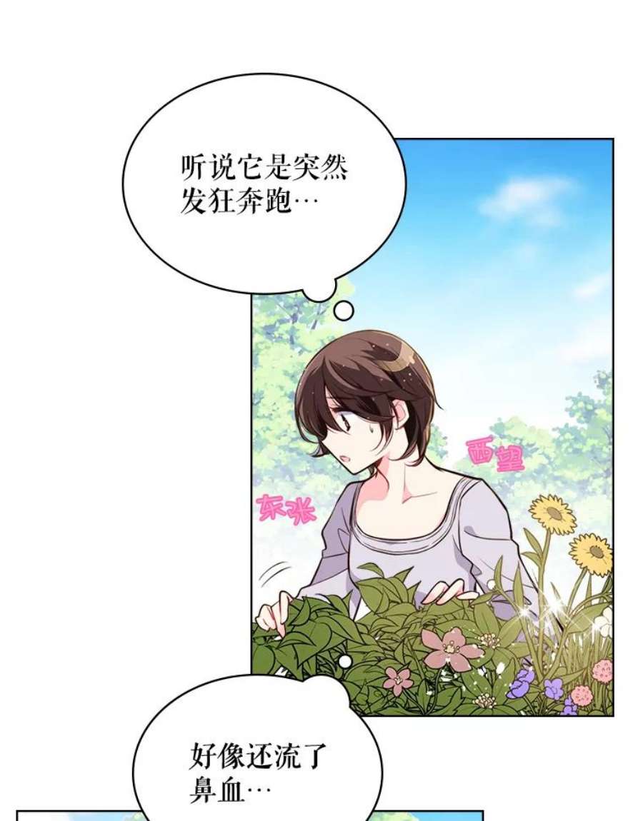 比阿特丽丝12.采草药的小姑娘