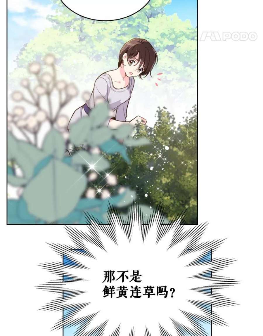 比阿特丽丝12.采草药的小姑娘