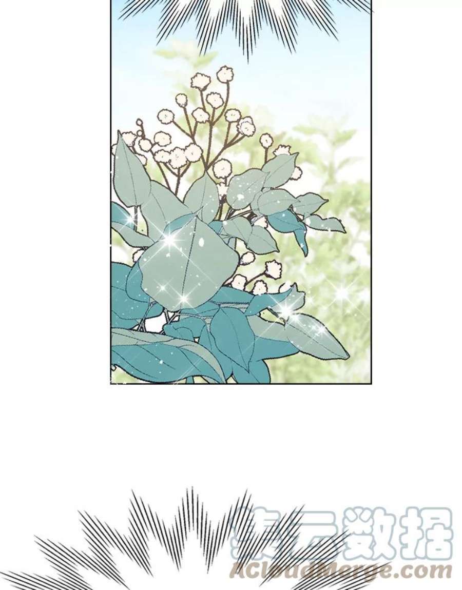 比阿特丽丝12.采草药的小姑娘