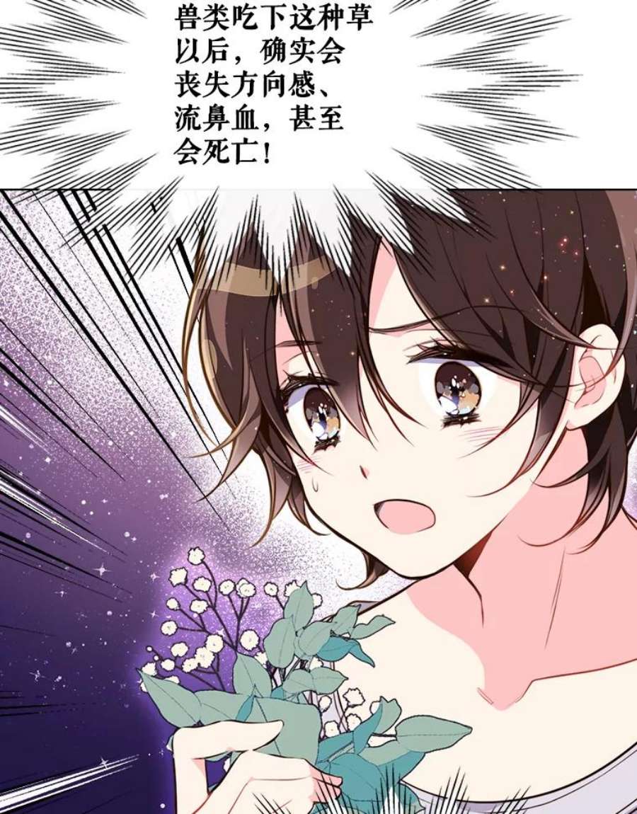 比阿特丽丝12.采草药的小姑娘