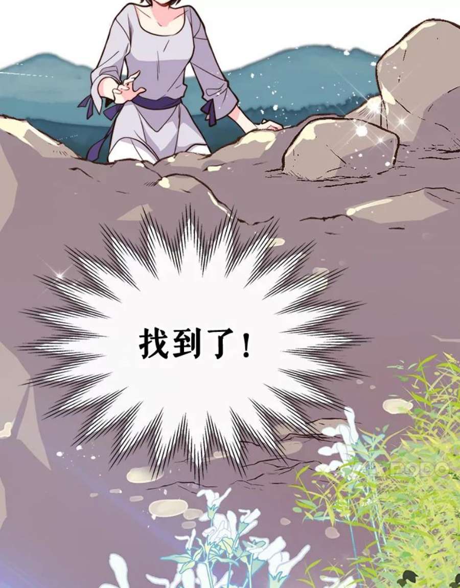 比阿特丽丝12.采草药的小姑娘