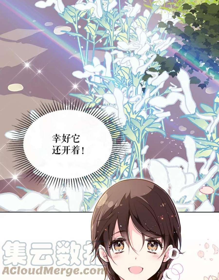 比阿特丽丝12.采草药的小姑娘