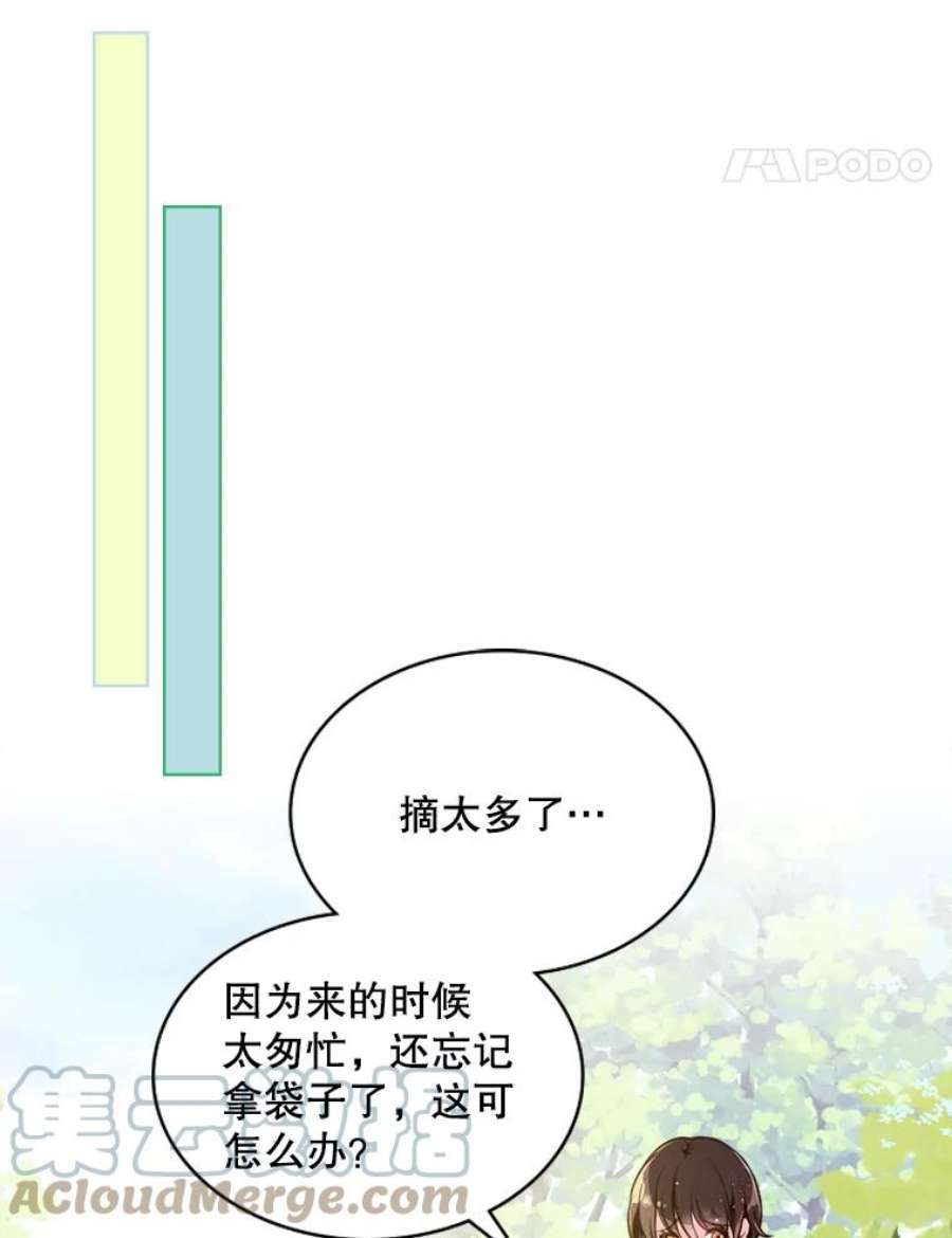 比阿特丽丝12.采草药的小姑娘