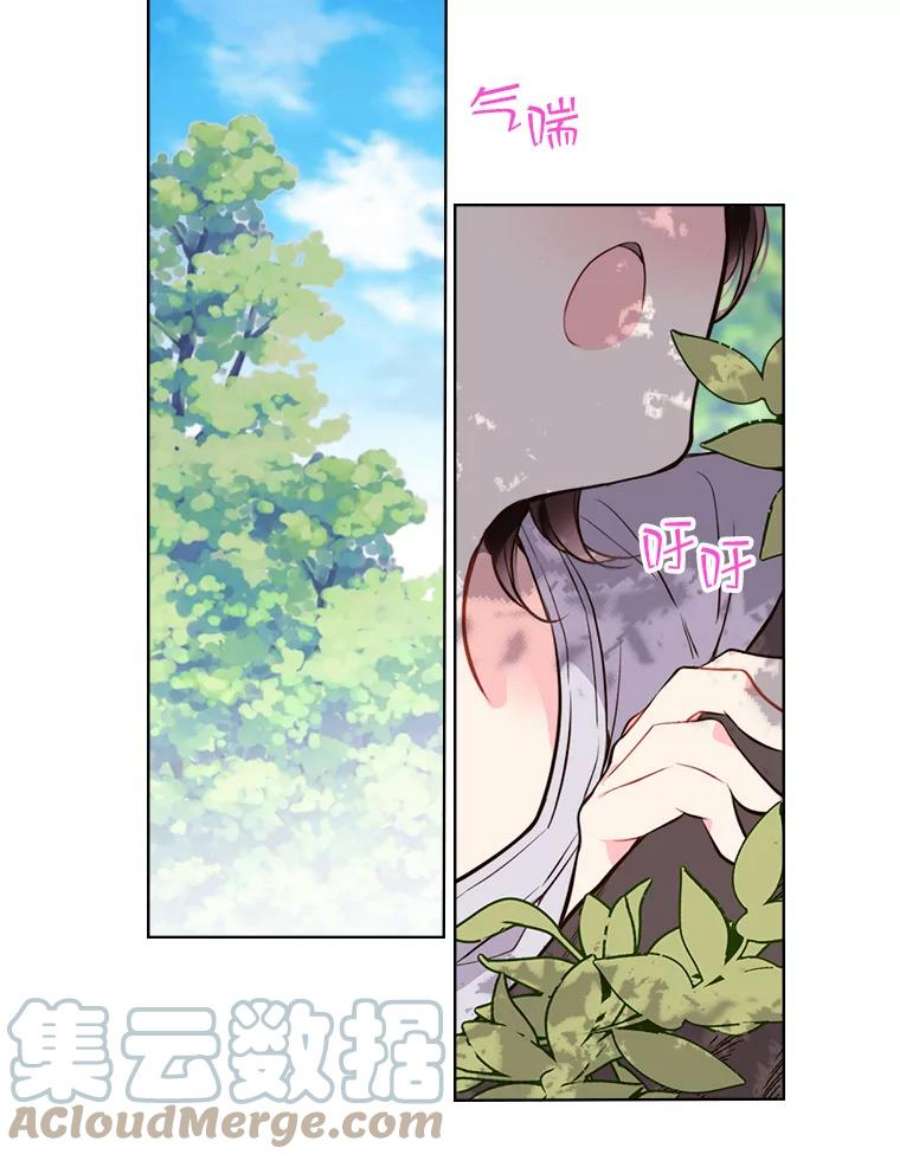 比阿特丽丝12.采草药的小姑娘