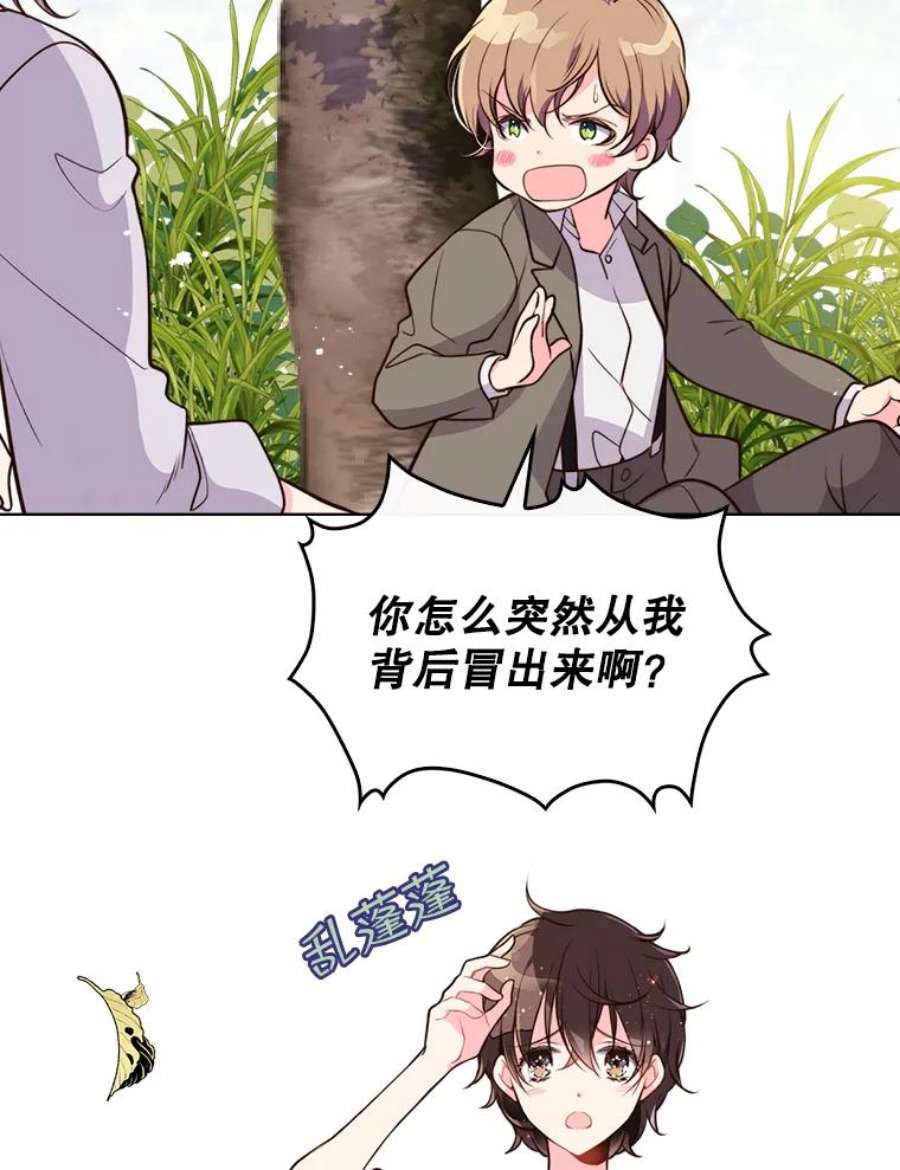 比阿特丽丝12.采草药的小姑娘