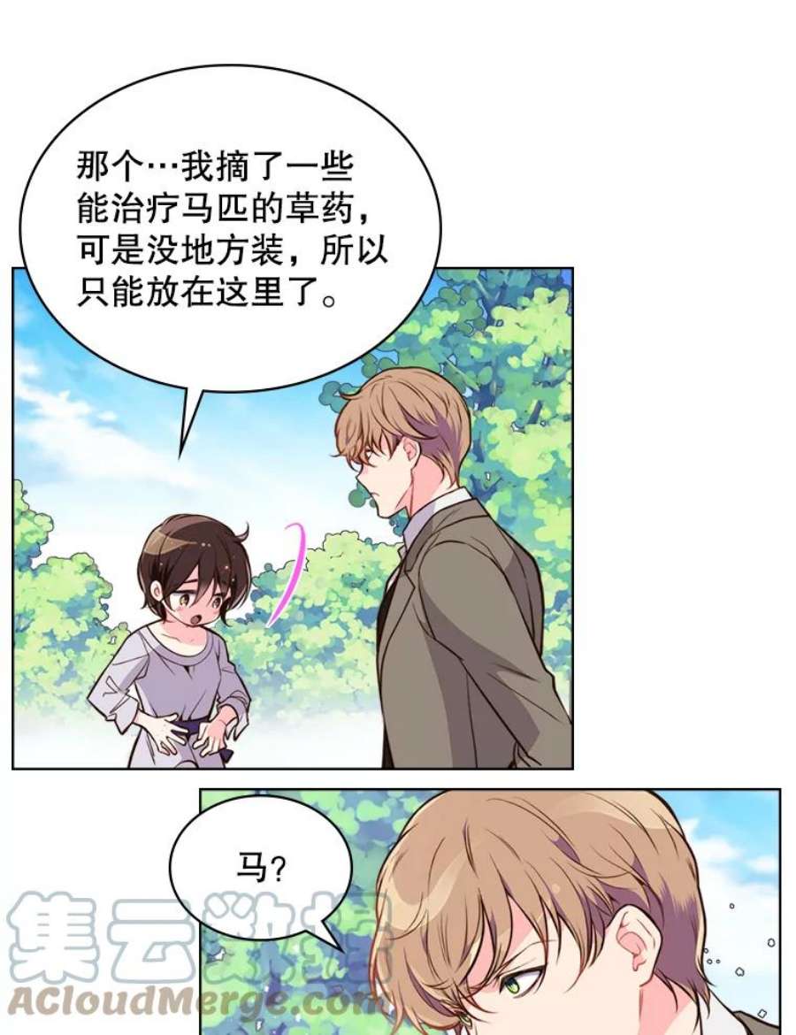 比阿特丽丝12.采草药的小姑娘