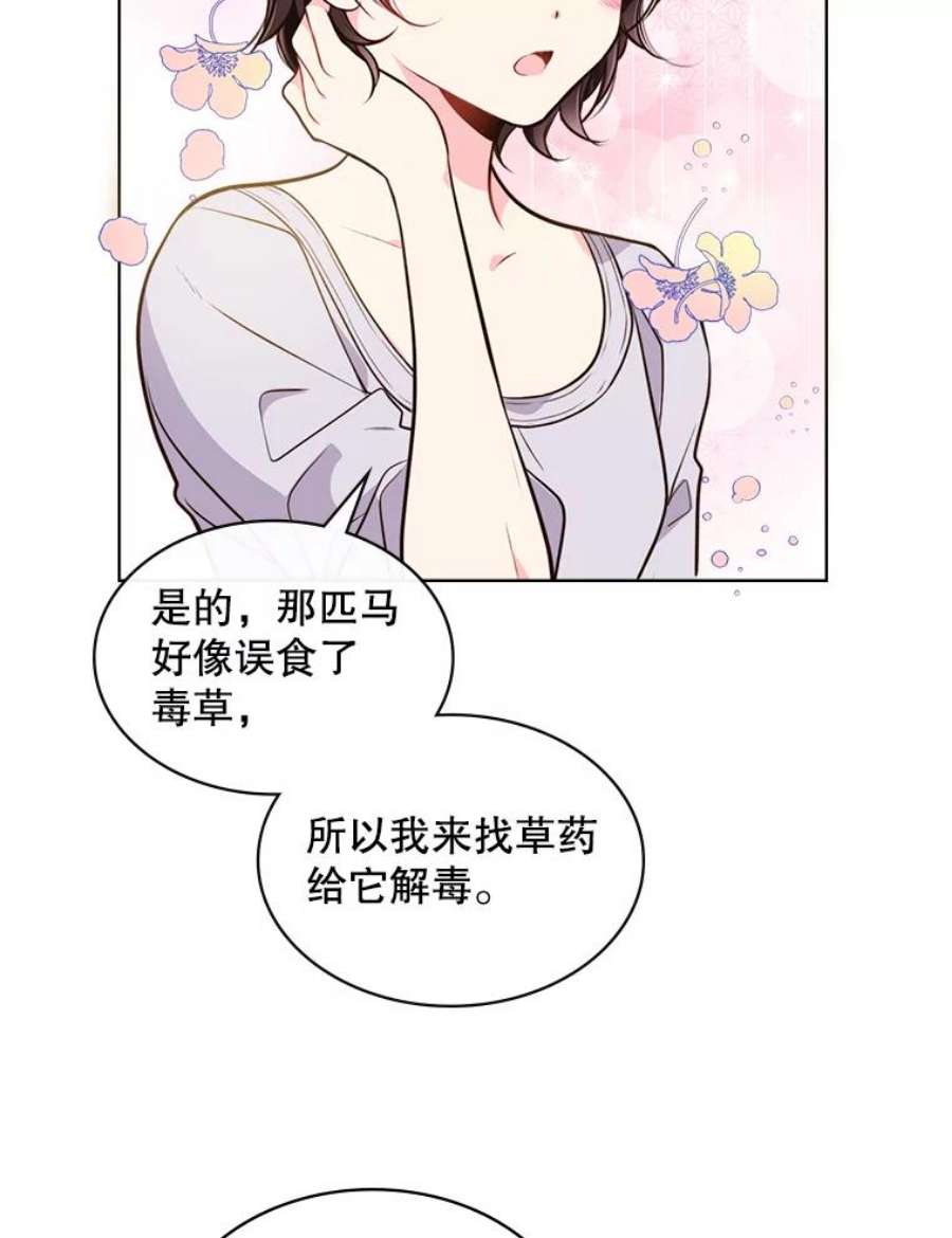 比阿特丽丝12.采草药的小姑娘