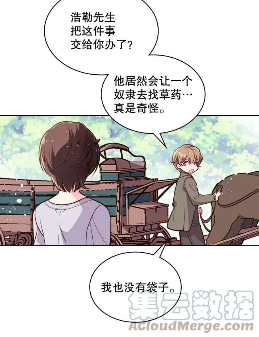 比阿特丽丝12.采草药的小姑娘