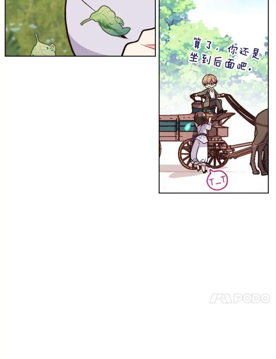 比阿特丽丝12.采草药的小姑娘