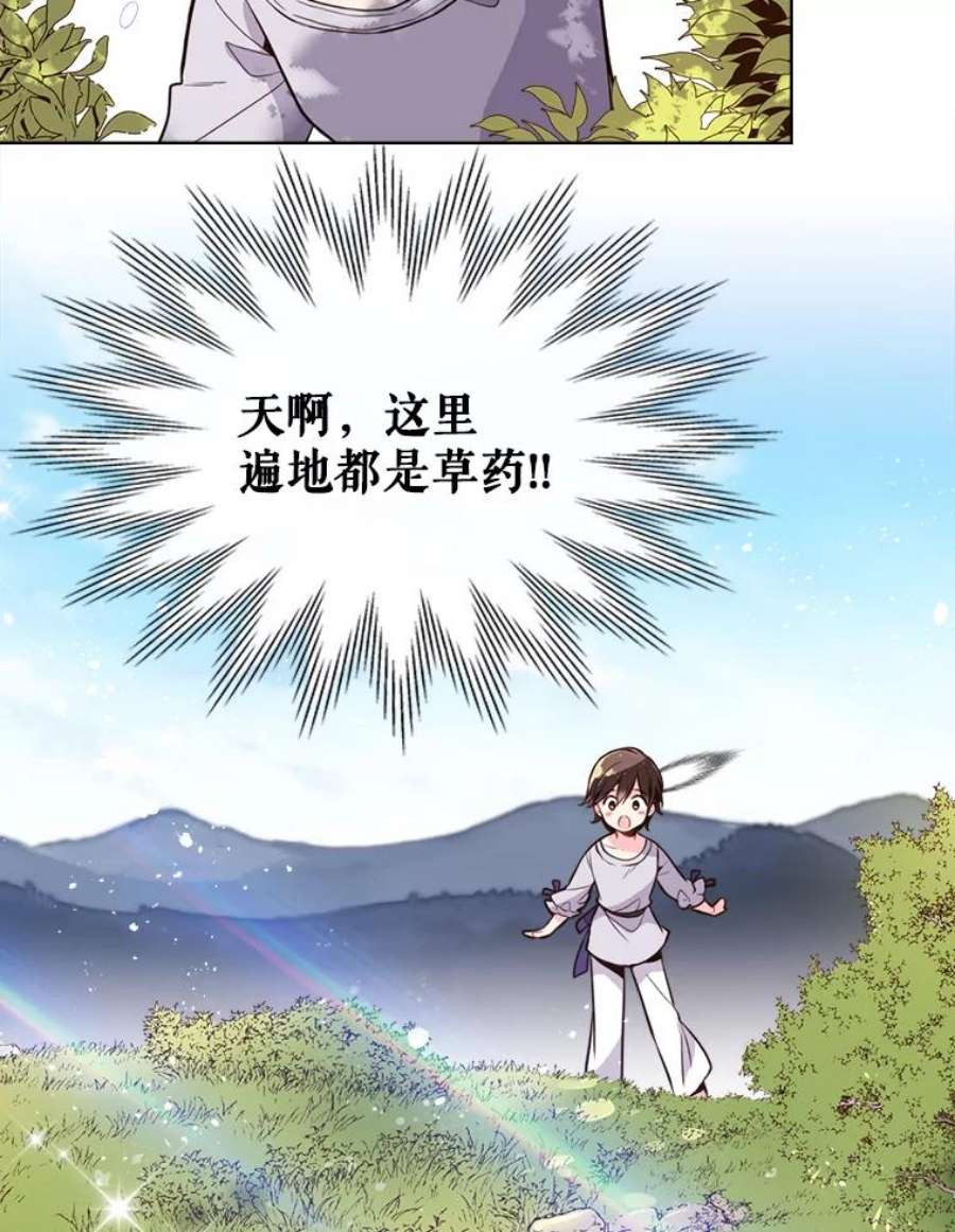 比阿特丽丝12.采草药的小姑娘