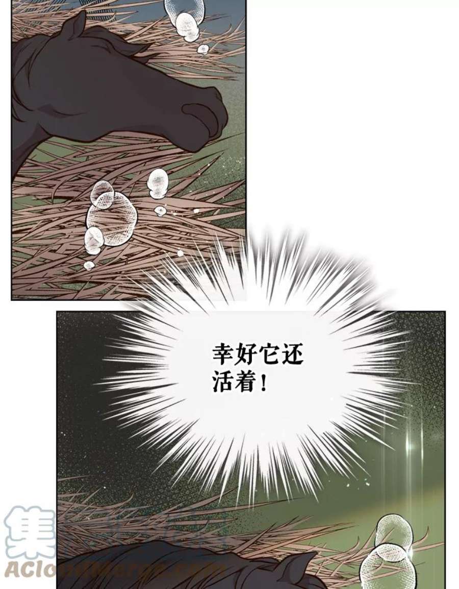 比阿特丽丝12.采草药的小姑娘
