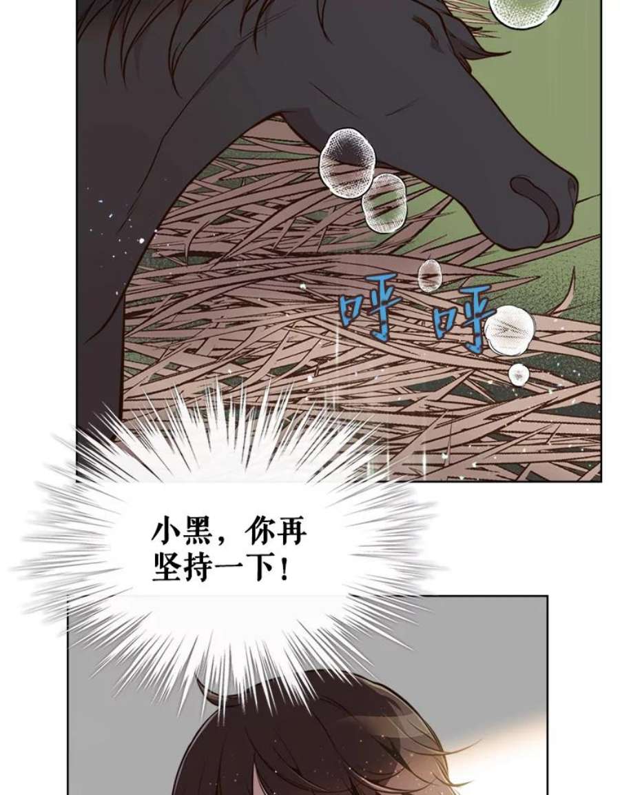 比阿特丽丝12.采草药的小姑娘