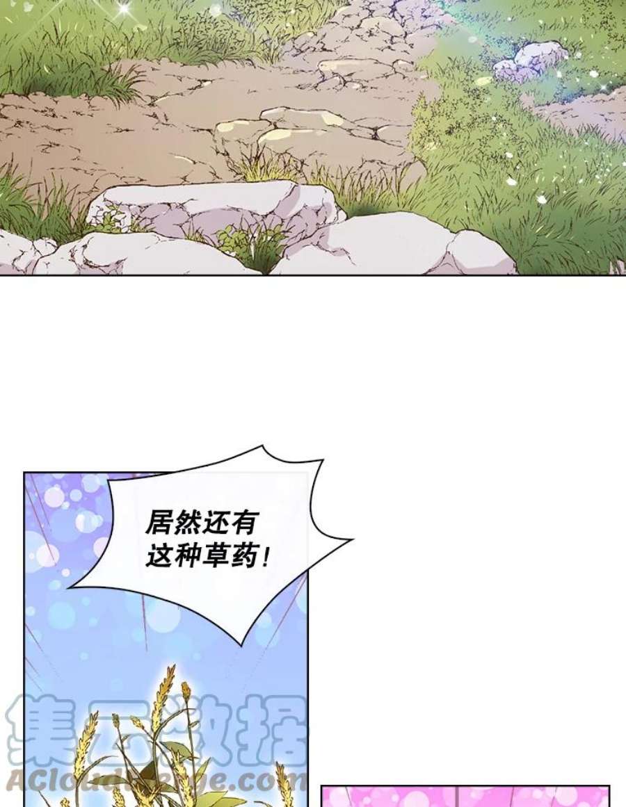 比阿特丽丝12.采草药的小姑娘