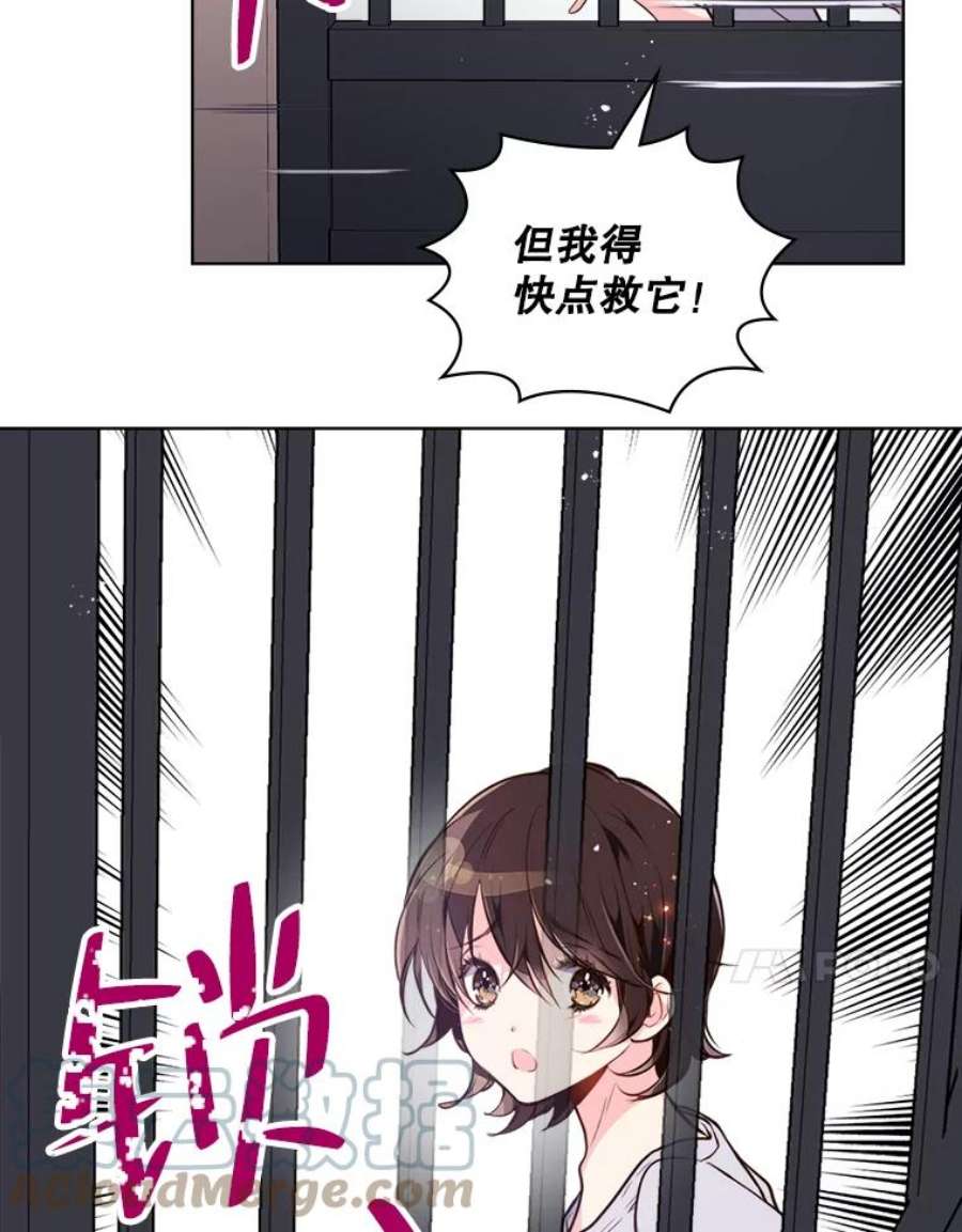 比阿特丽丝12.采草药的小姑娘